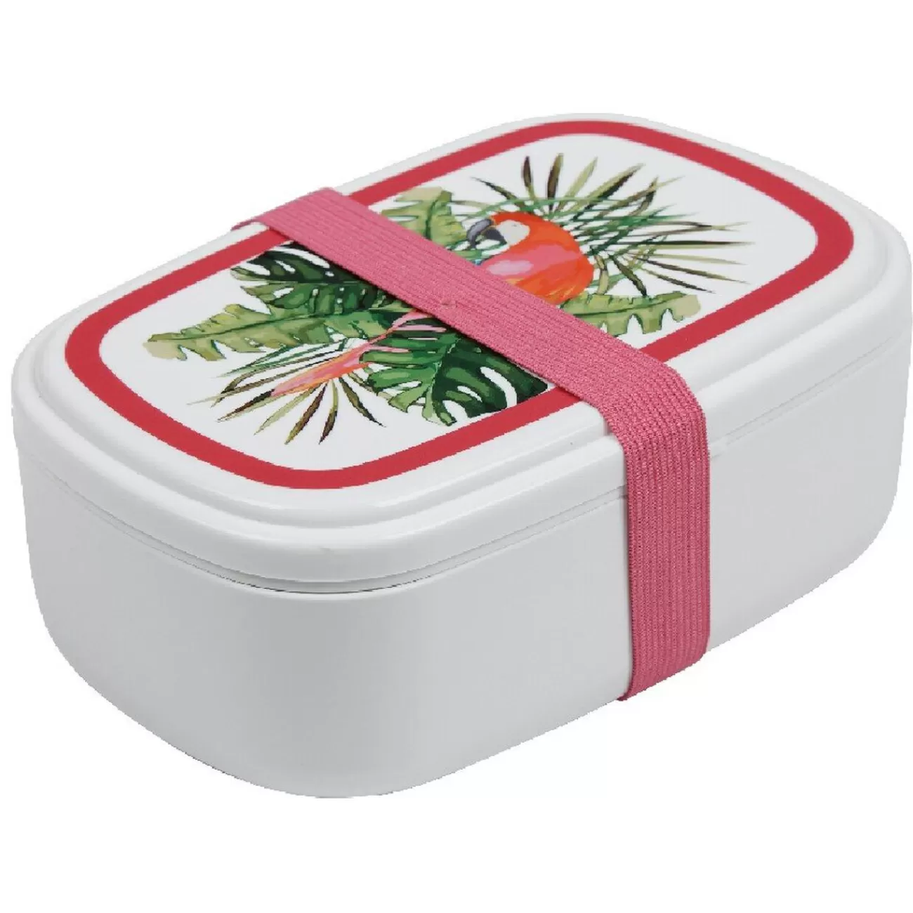 Gifi Bento lunch box plastique perroquet exotique Cheap