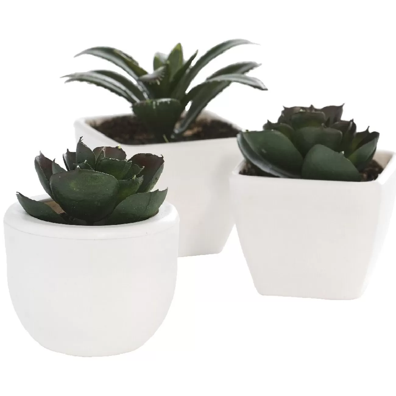 Gifi Mini plante artificielle Online