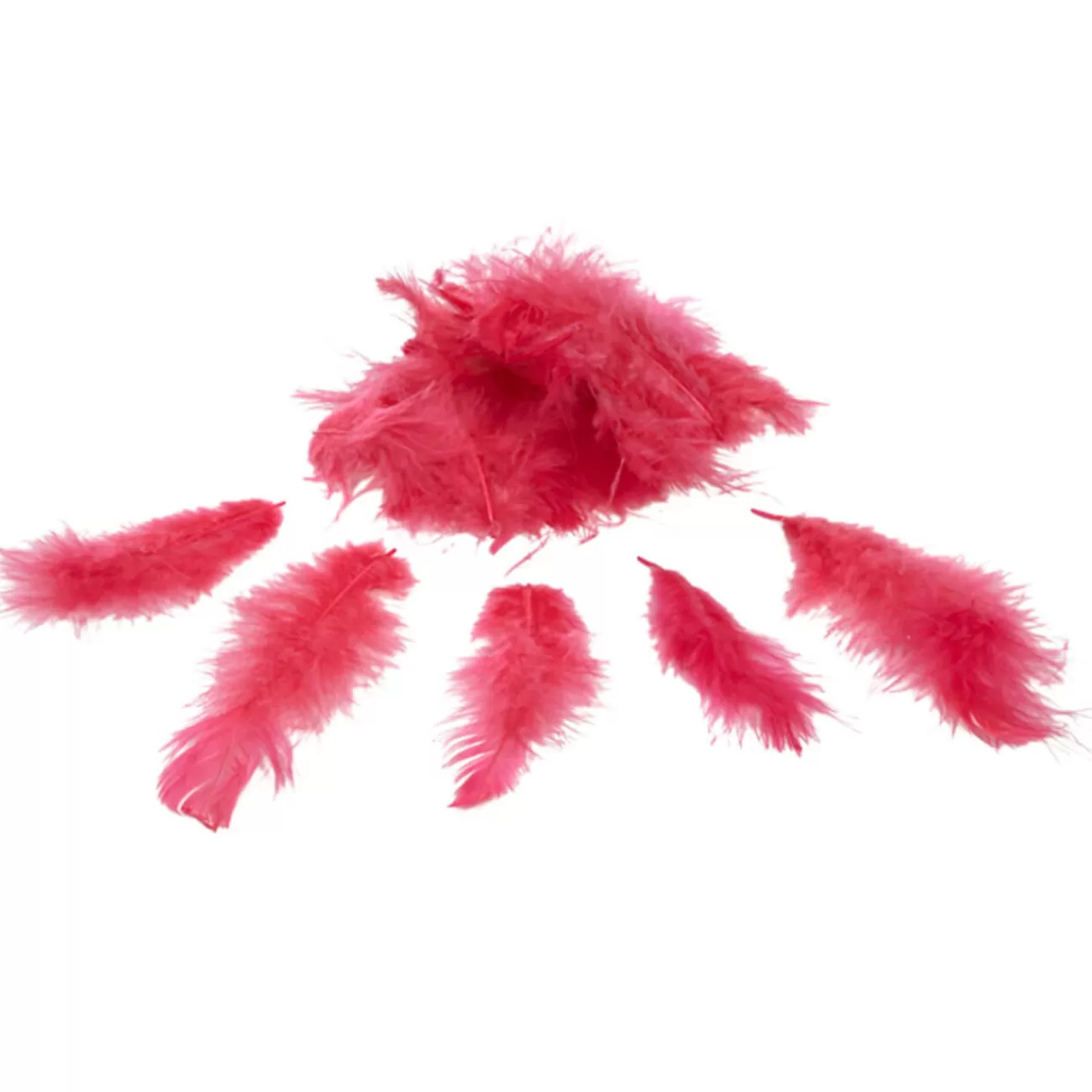 Gifi Mini plume rose fuchsia x35 New