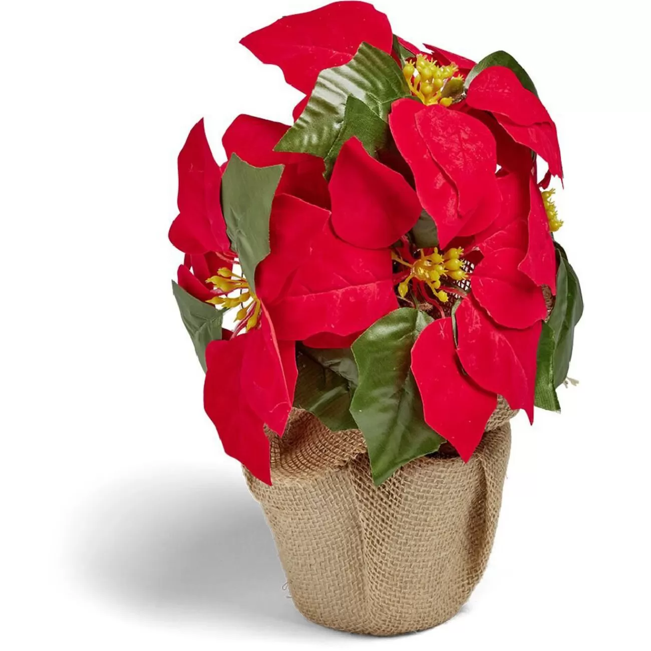 Gifi Poinsettia lumineux H23cm< Décoration Intérieure De Noël