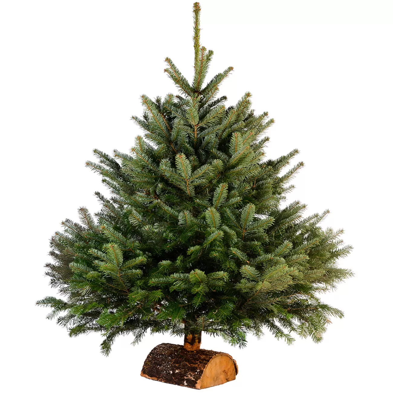 Gifi Sapin de Noël naturel Nordmann 100 cm Store