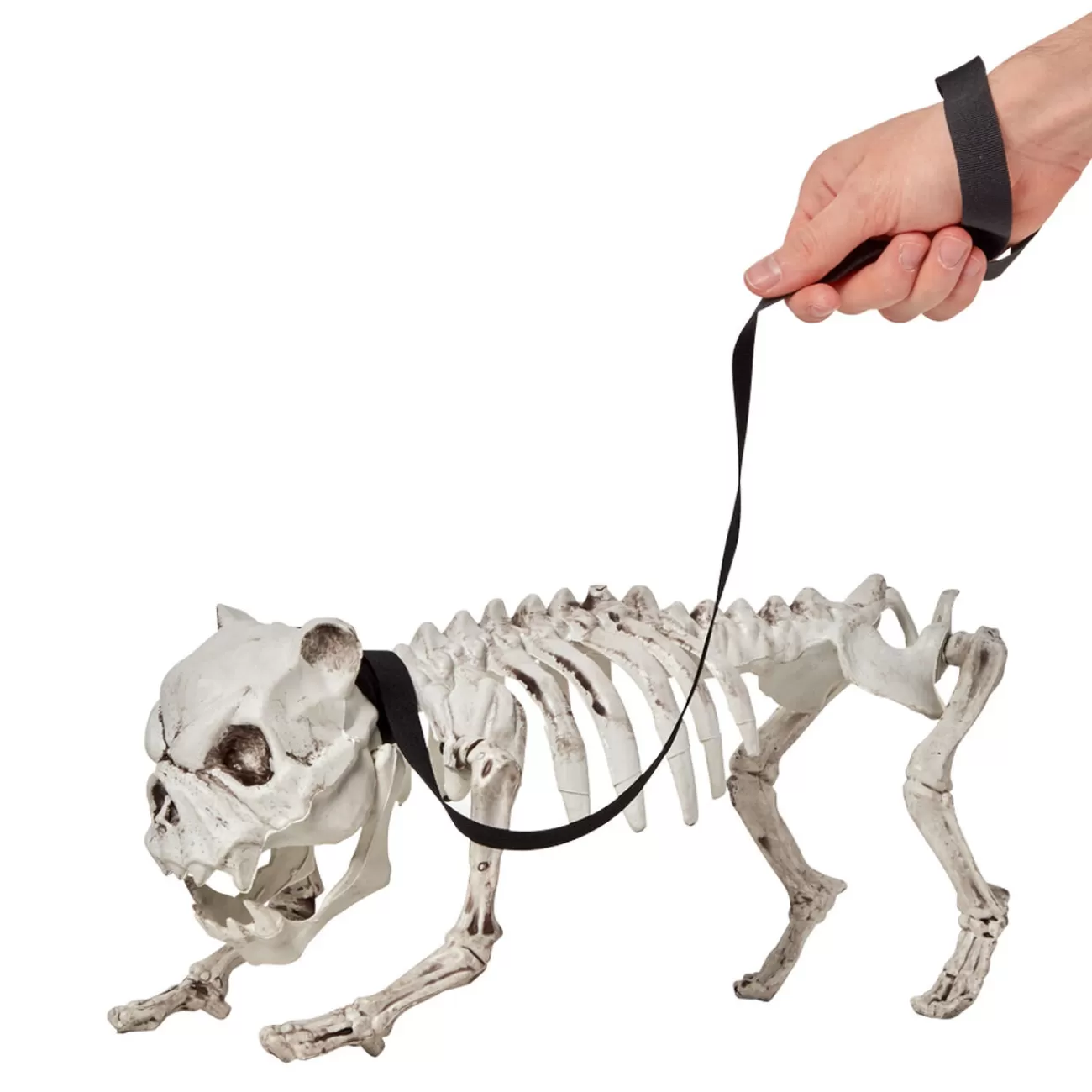 Gifi Squelette de chien déco Halloween à poser Online